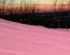 The Mysterious Pink Snow