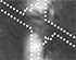 Feasibility of Plasmonic Circuits Merged with Silicon Integrated Circuits