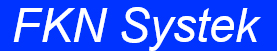 FKN Systek Logo