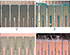 Surface Insulation Resistance of No-Clean Flux Residues