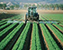 AI and Precision Agriculture Address Farming Problems